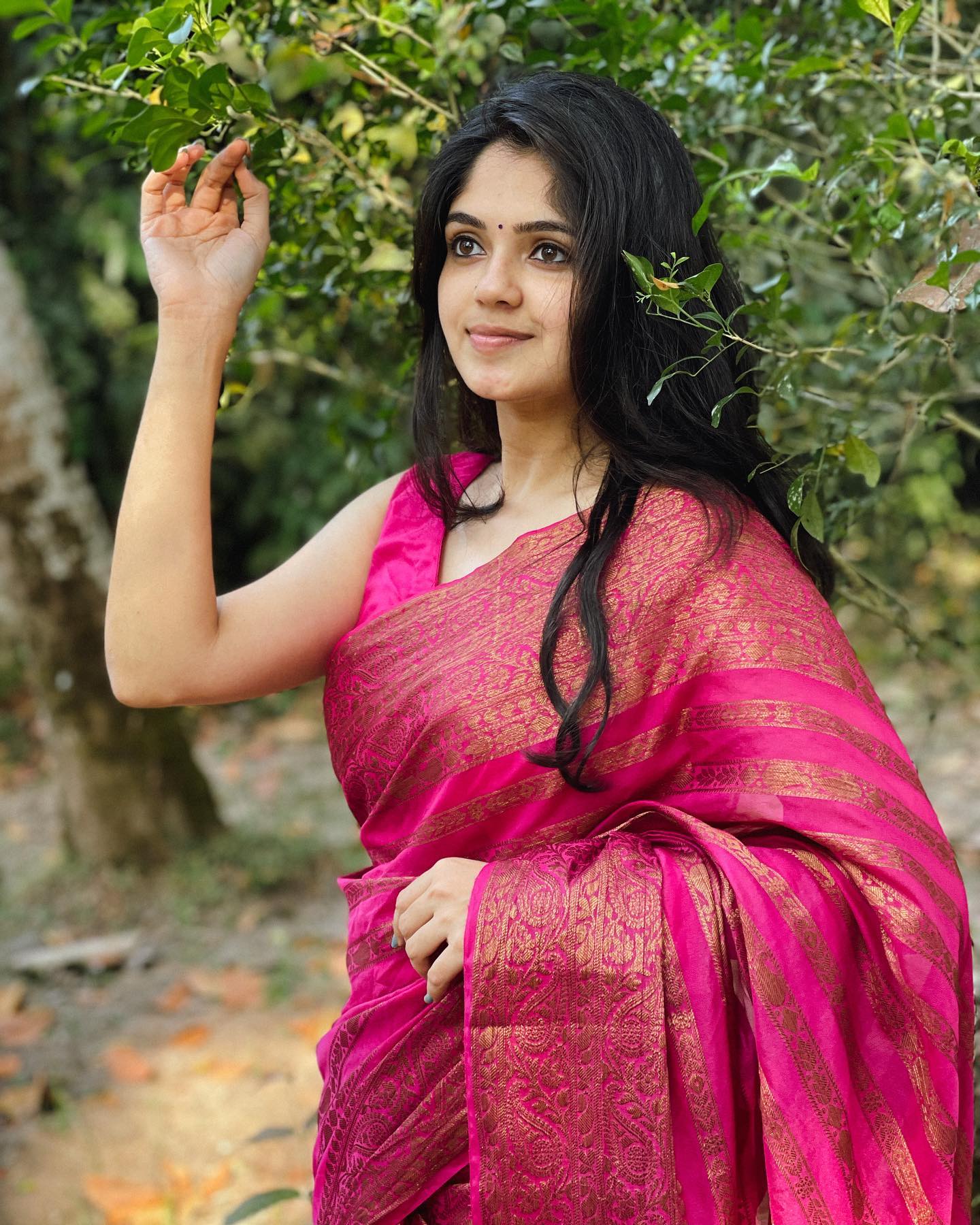 Banarasi Khaddi Georgette Soft Silk Latest Stripe Design Saree