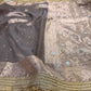 Banarasi Mirror Work Tissue Silk Saree