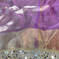 Banarasi Mirror Work Tissue Silk Saree