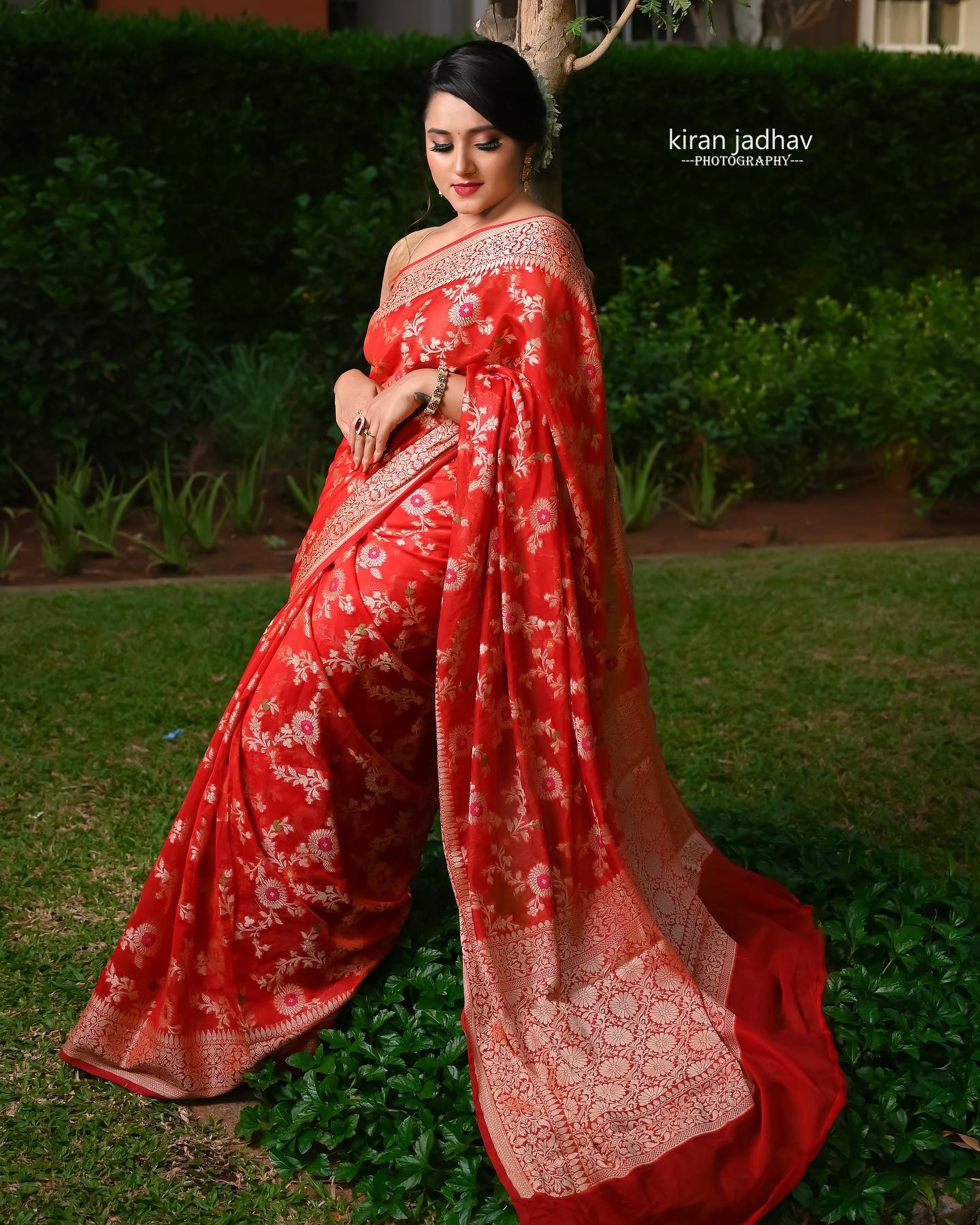 Red Khaddi Georgette Banarasi Saree All over gold zari jaal work — The  Handlooms